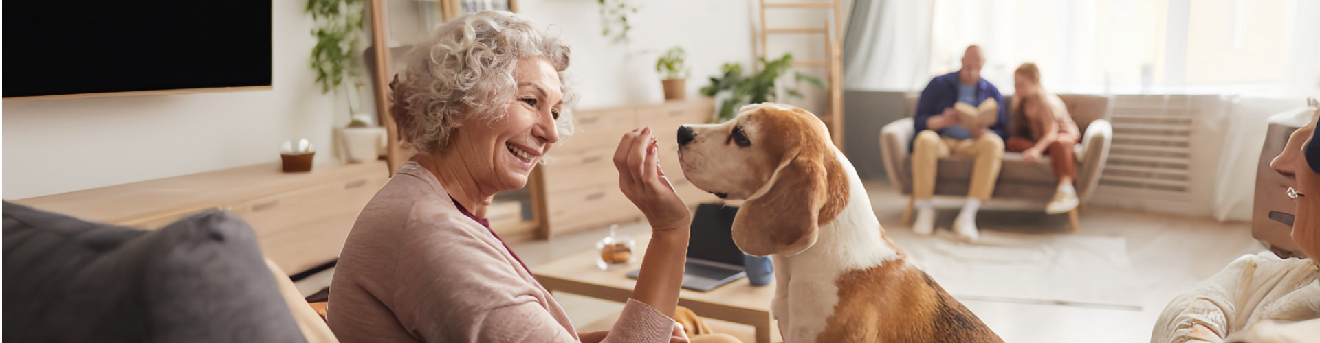 elderly woman playing with a dog